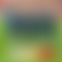 El Rayo saca un punto muy trabajado ante el Girona