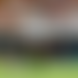 Valencia y Trabzonspor ponen fin a las conversaciones por Almeida