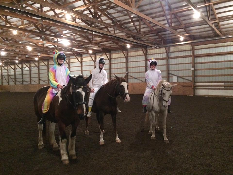 Riding Lessons & Horse Boarding Fieldstone Farm United States