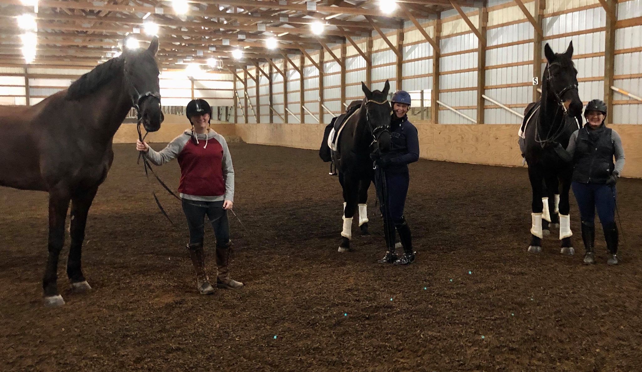 Riding Lessons & Horse Boarding Fieldstone Farm United States