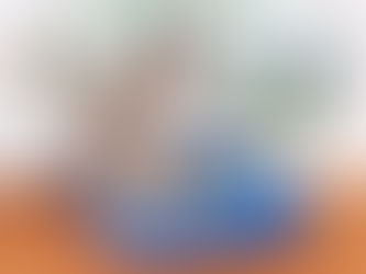 COMO ESCOLHER O MELHOR TIPO DE AREIA SANITÁRIA PARA O SEU GATO EM 5 PASSOS