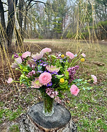 IMG_2618.jpg