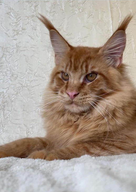 WhatsApp Image 2025-10-23 à 11.40_edited