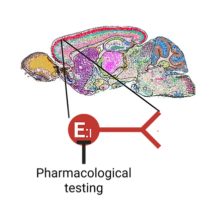 Molecular Schematic.png