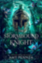 the stormbound knight