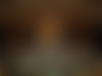 EU vs UN: A Global Partnership?