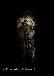 Réponses des ténèbres by Françoise Stéfanski, all rights reserved