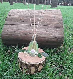 20191019_143611[1].jpg