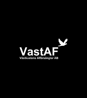 logo13vastaf.png