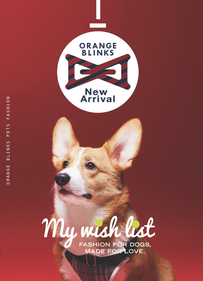 Orange Blinks A/w look book cover
