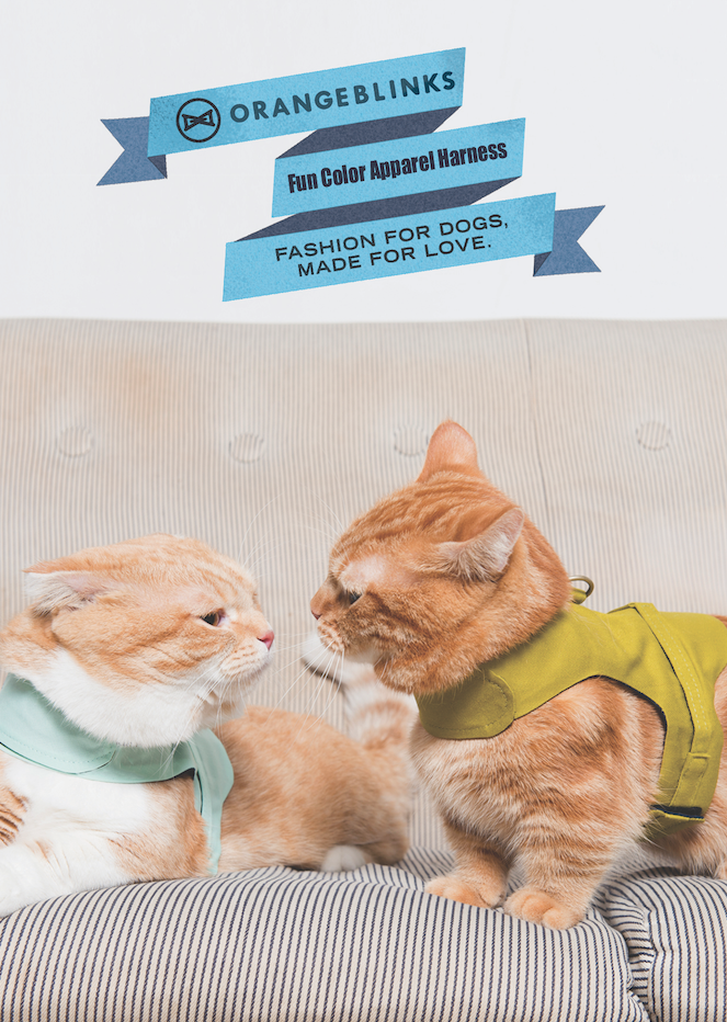Orange Blinks 2015S/S post card