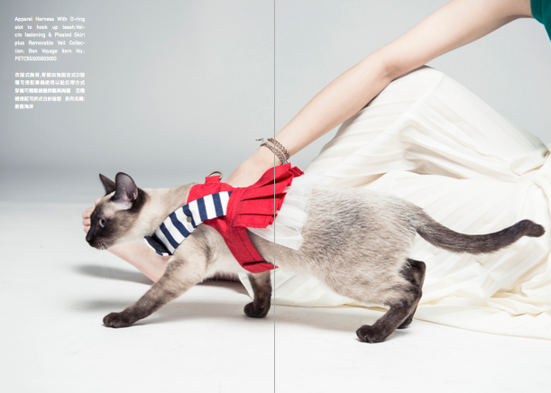 Orange Blinks 2015S/S look book