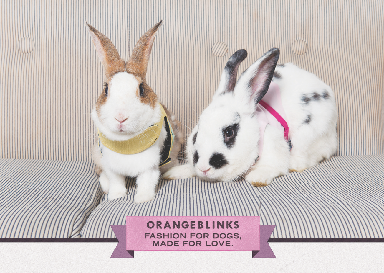 Orange Blinks 2015S/S post card