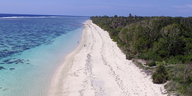 karoso beach plot for sale sumba.png