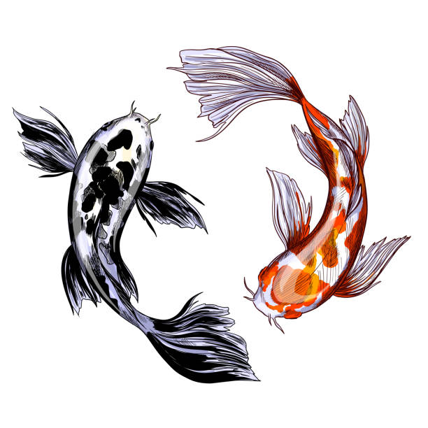 istockphoto-1194323761-612x612.jpg