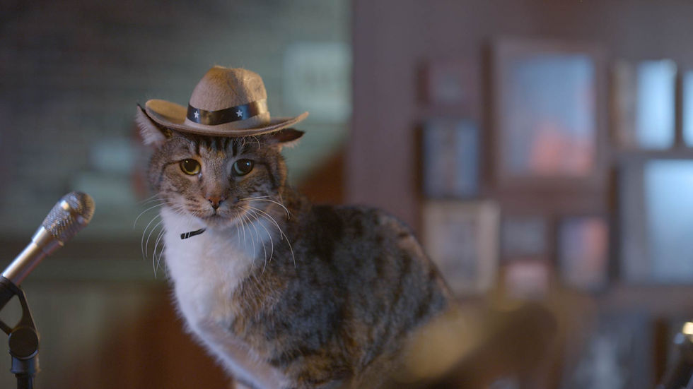 04-meowmix-country-before.jpg