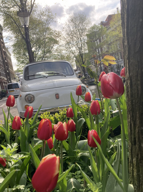 Screen Shot 2023-02-09 at 4.33.01 PM.png