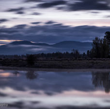 Lee Metcalf Purple Sunrise