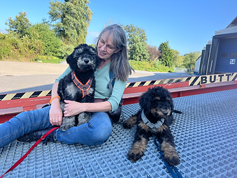 Bildbeschreibung: Ich sitze mit den Welpen Baya und Bo - 13 Wochen alte Großpudel, Geschwister - auf einer Stahlgitterrampe. Baya findet den Untergrund noch ein bisschen gruselig und hat sich auf meinen Schoß gesetzt. Bo liegt entspannt neben uns.
