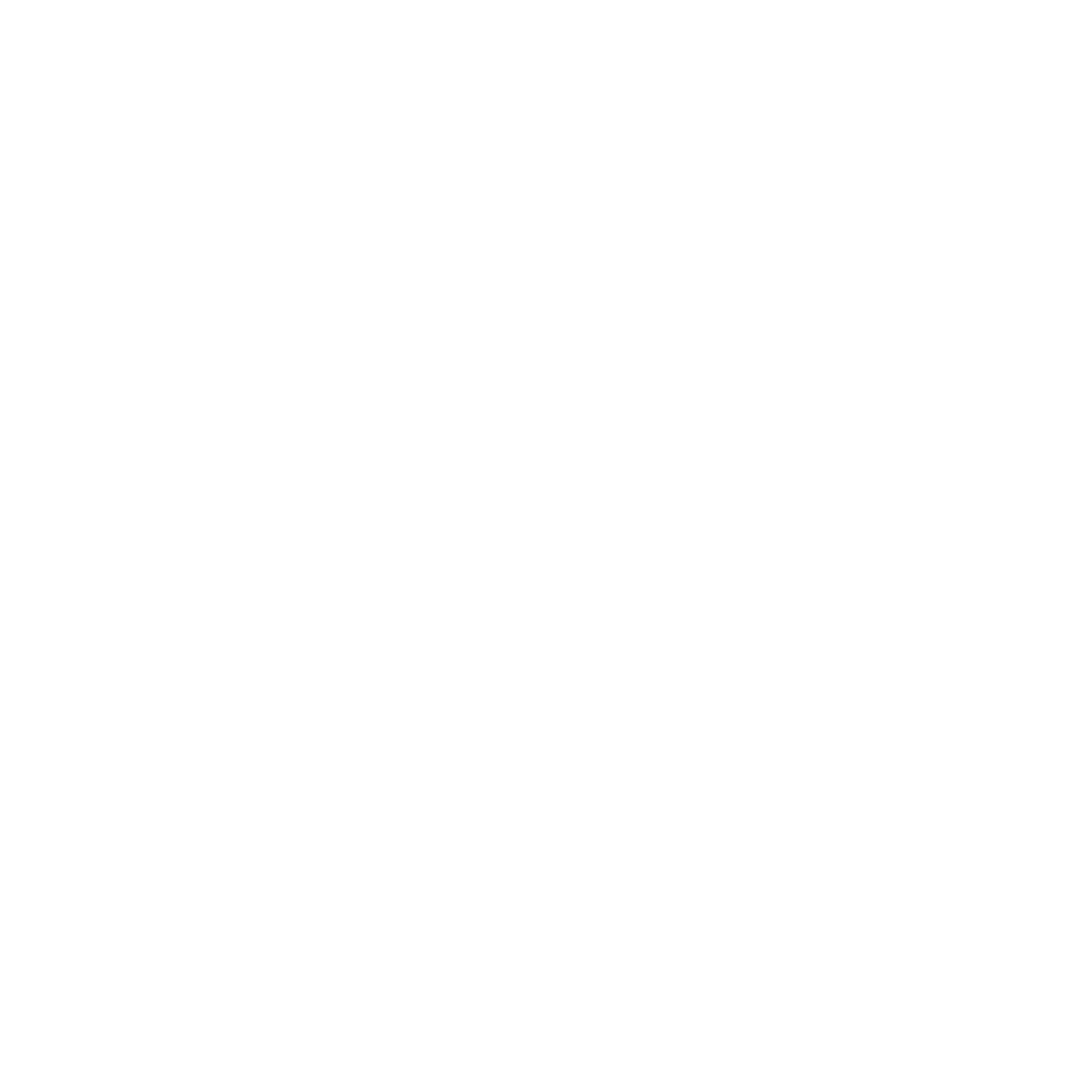 Salayel Logo -.png