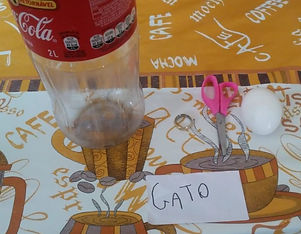 Melia_Gabriely_-_missão_nome_do_animal.