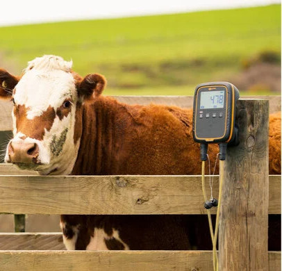 Gallagher W0 Weigh Scale | GMG E-Farm