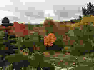 6F99A3EF-A8A8-4552-B969-E8D092A9A939