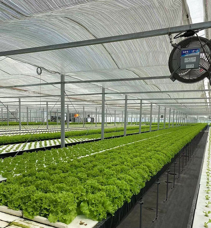 WeChat Image_20210921124451.jpg