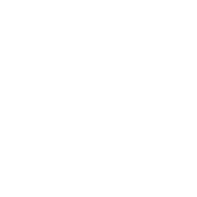 Steward Construction Services logo