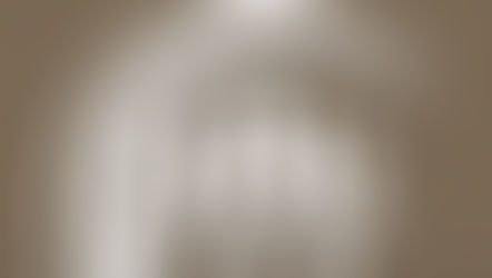 BOOMERS TO WASHINGTON, D.C. 