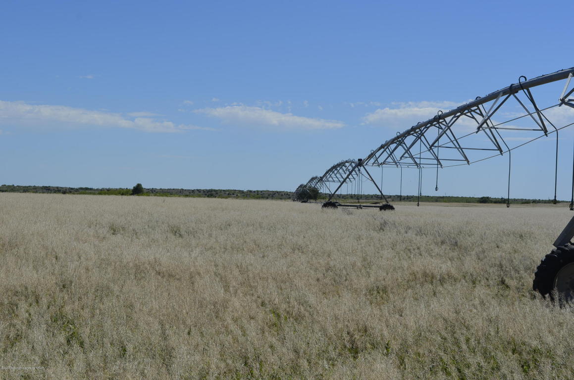 Rio Bravo Cattle Feeders Texas Tru Land Realty Group