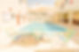 2711-2018-101303542885950907755.jpeg