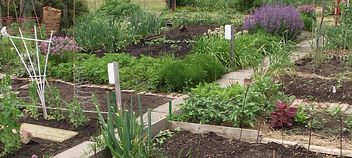 Bio-intensive Gardening