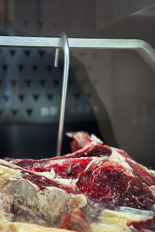 WhatsApp Image 2026-02-15 at 16.06.41 (1).jpeg