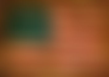 Grief for the State of our Union