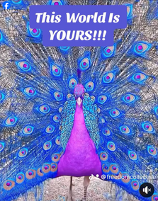 YOUR SECRET SAUCE
