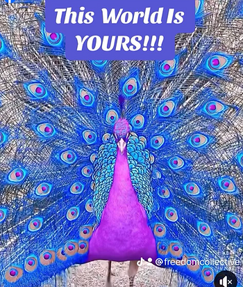 Screenshot 2024-05-20 at 10.59.34 AM.png