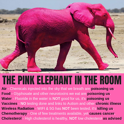 IS THERE A PINK ELEPHANT IN THE ROOM_.pn