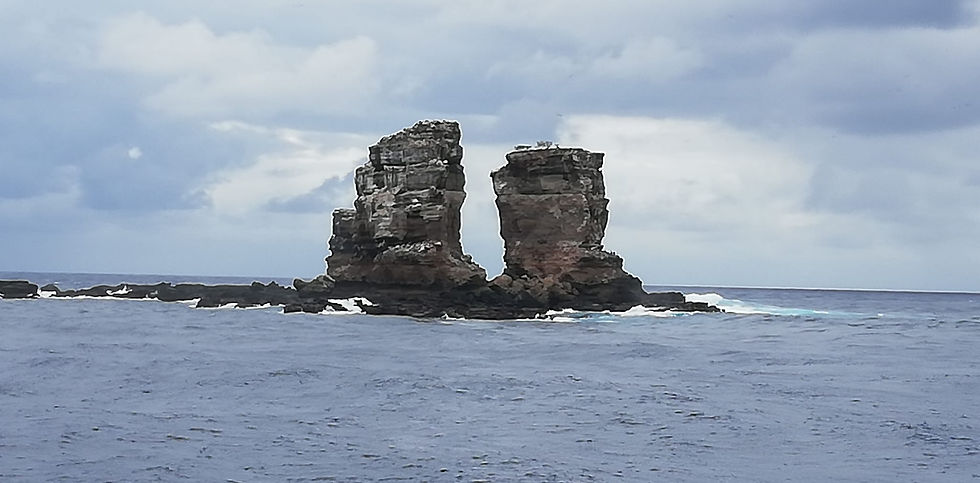 IMG-20240225-WA0016