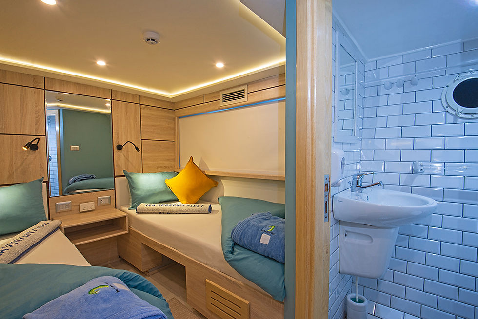 Lower Deck Twin Cabin