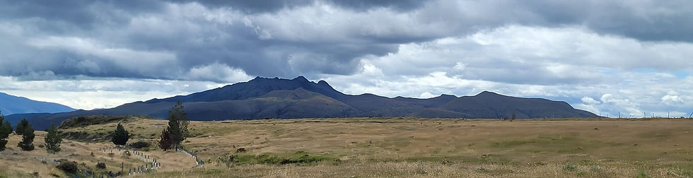 IMG-20240225-WA0056.jpg
