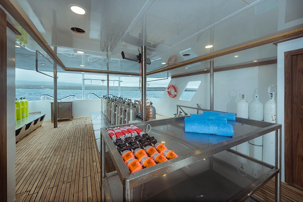 Tiburon_Explorer_Tauchdeck