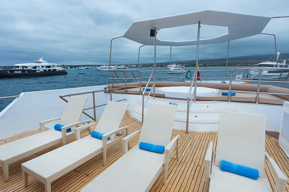Tiburon_Explorer_Oberdeck