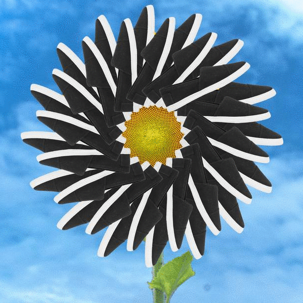 Hoofs Shoes Work gif