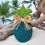 Thumbnail: Coastal Pineapple Wall Décor with Starfish Accent