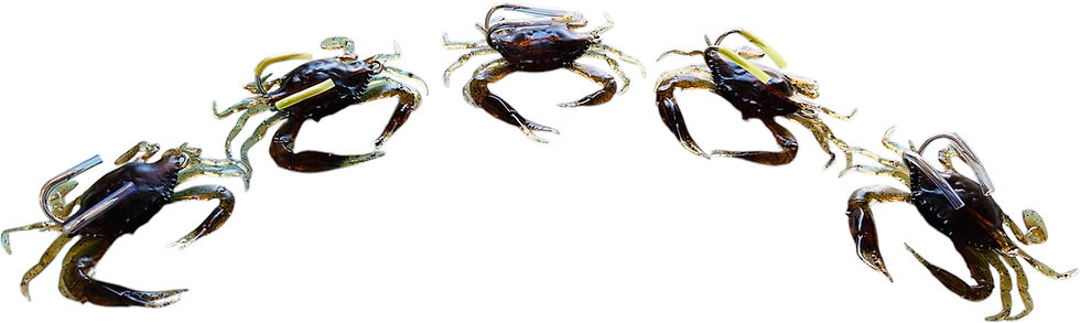 Thumbnail: Ultimate 3” Lifelike Soft Crab Lure – Irresistible to Tarpon & Permit!