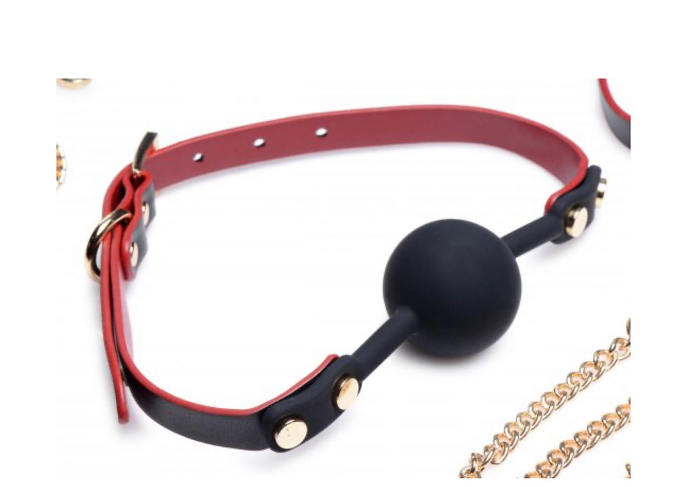 Thumbnail: Master Series - Black and Red Bow Bondage Set with Carry Case