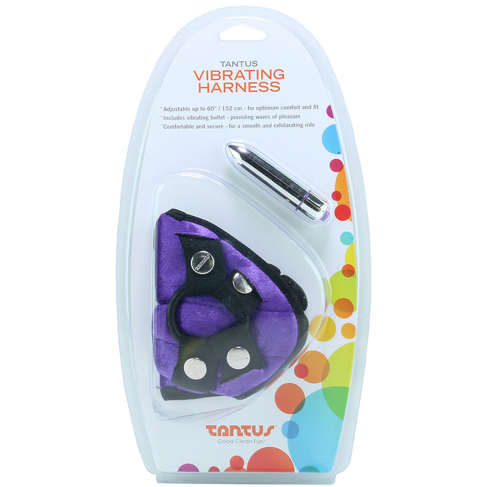 Velvet Vibrating Bullet Harness in Purple