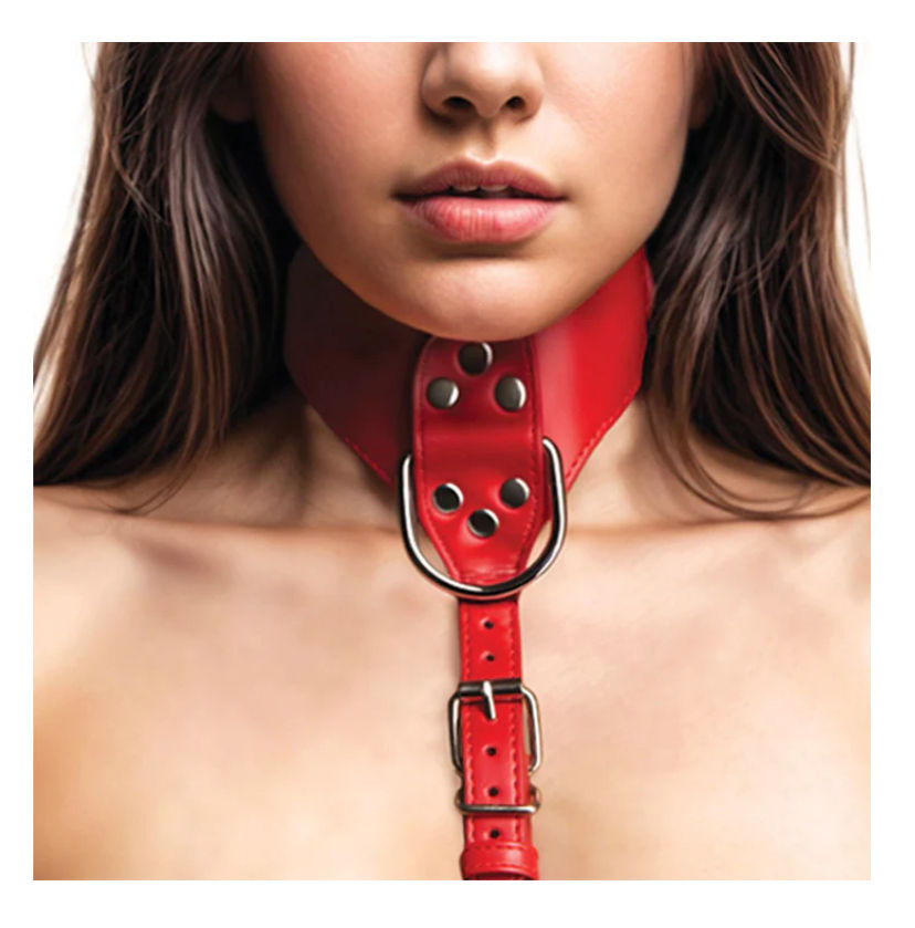 Thumbnail: Master Series Master Series Vixen Chest Harness in Red