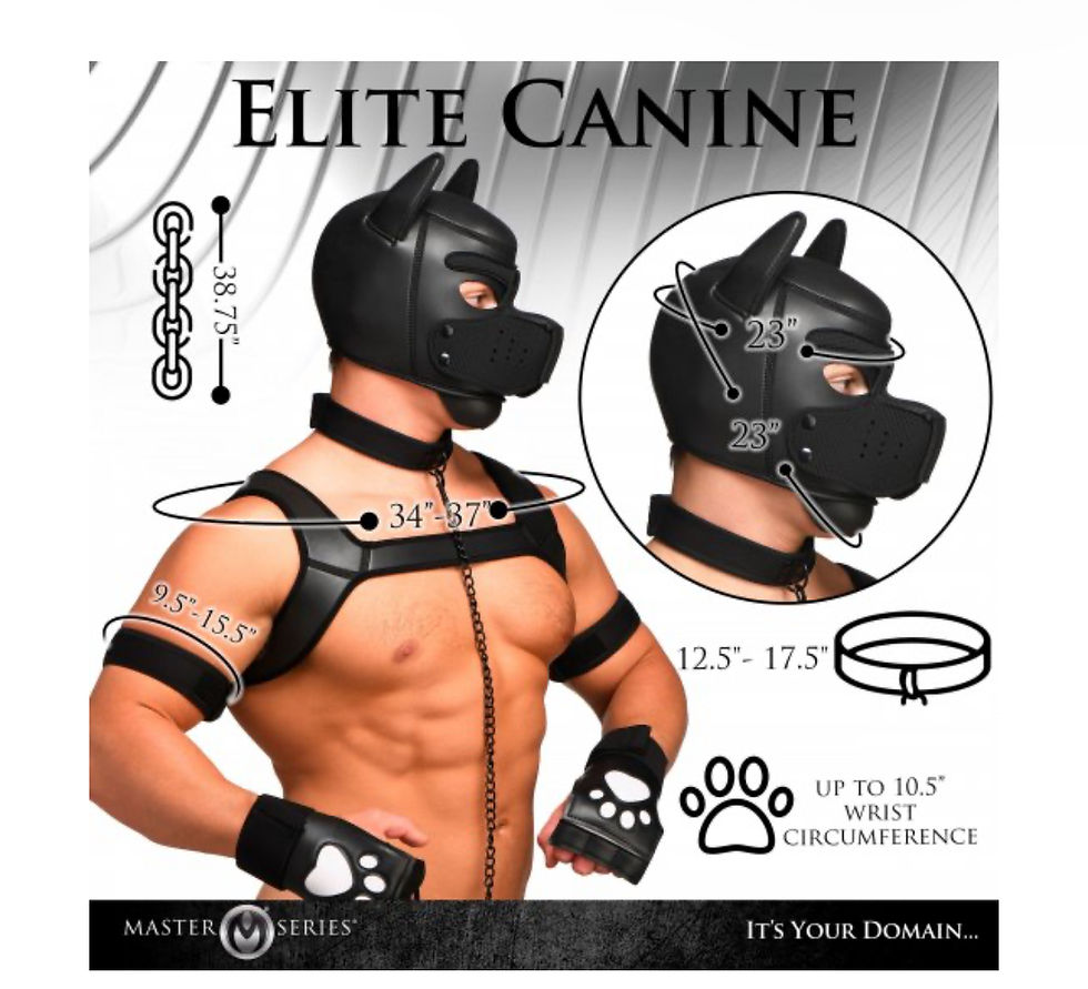 Thumbnail: 9 Piece Deluxe Pup Arsenal Set